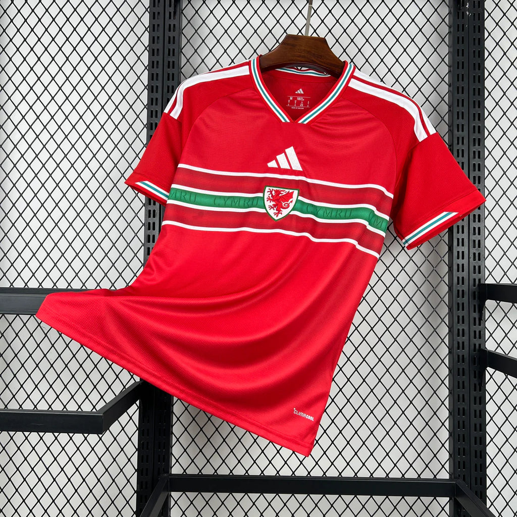 Wales Home 26