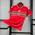 Wales Home 26